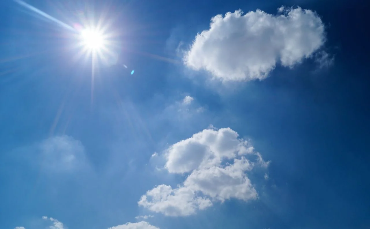 zomer doorkomen zonder tuin